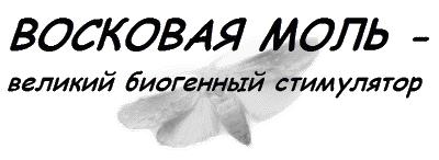 Заголовок: Восковая моль — великий биогенный стимулятор