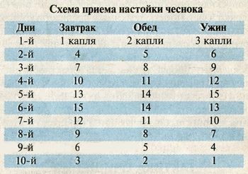Схема приема настойки чеснока