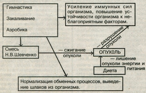 схема лечения