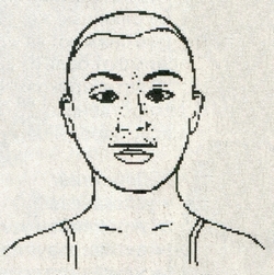 Лицо.